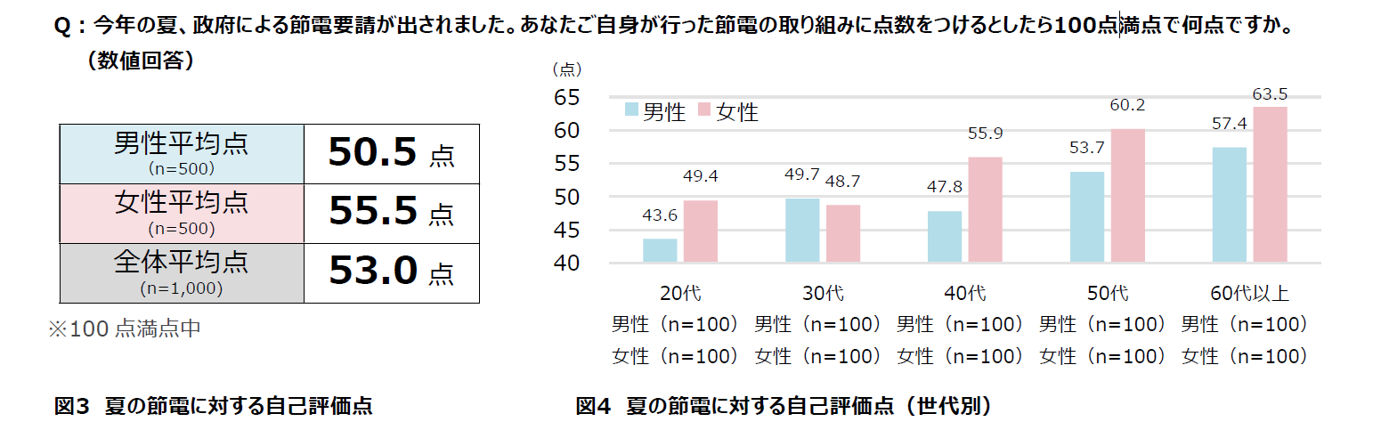 夏の節電に対する自己評価点